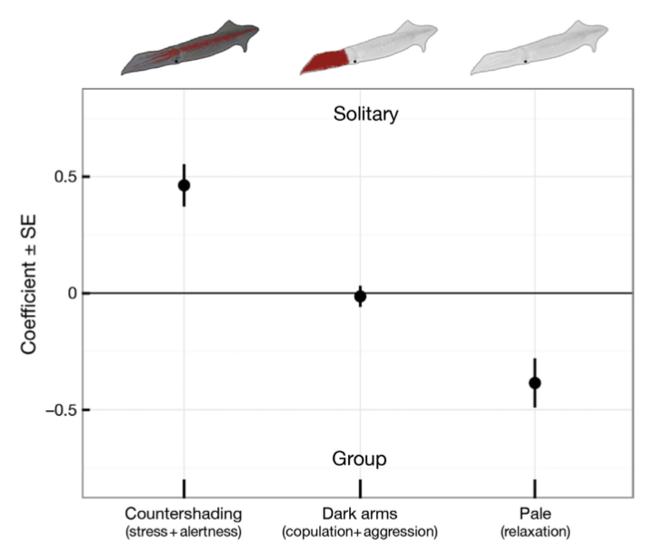 squid plot